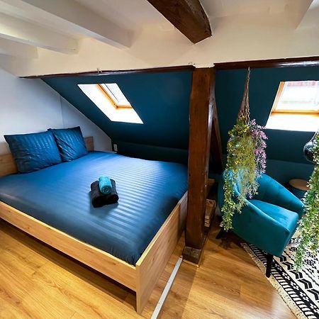 Au Duplex De Jeannala Daire Sélestat Dış mekan fotoğraf