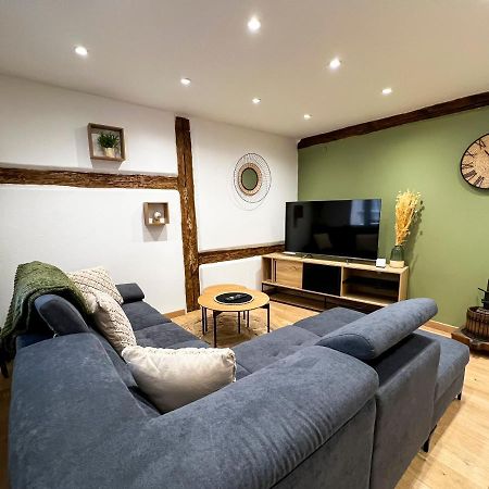 Au Duplex De Jeannala Daire Sélestat Dış mekan fotoğraf