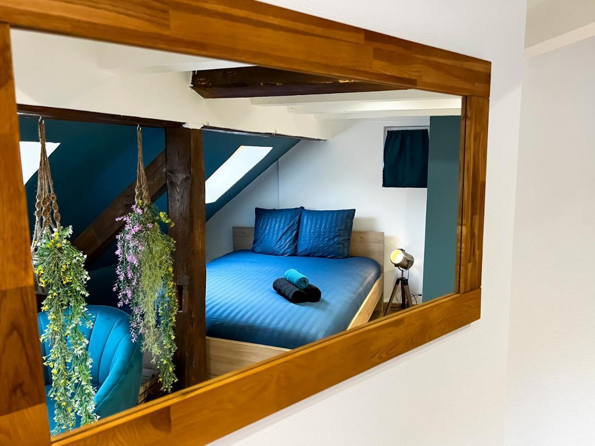 Au Duplex De Jeannala Daire Sélestat Dış mekan fotoğraf