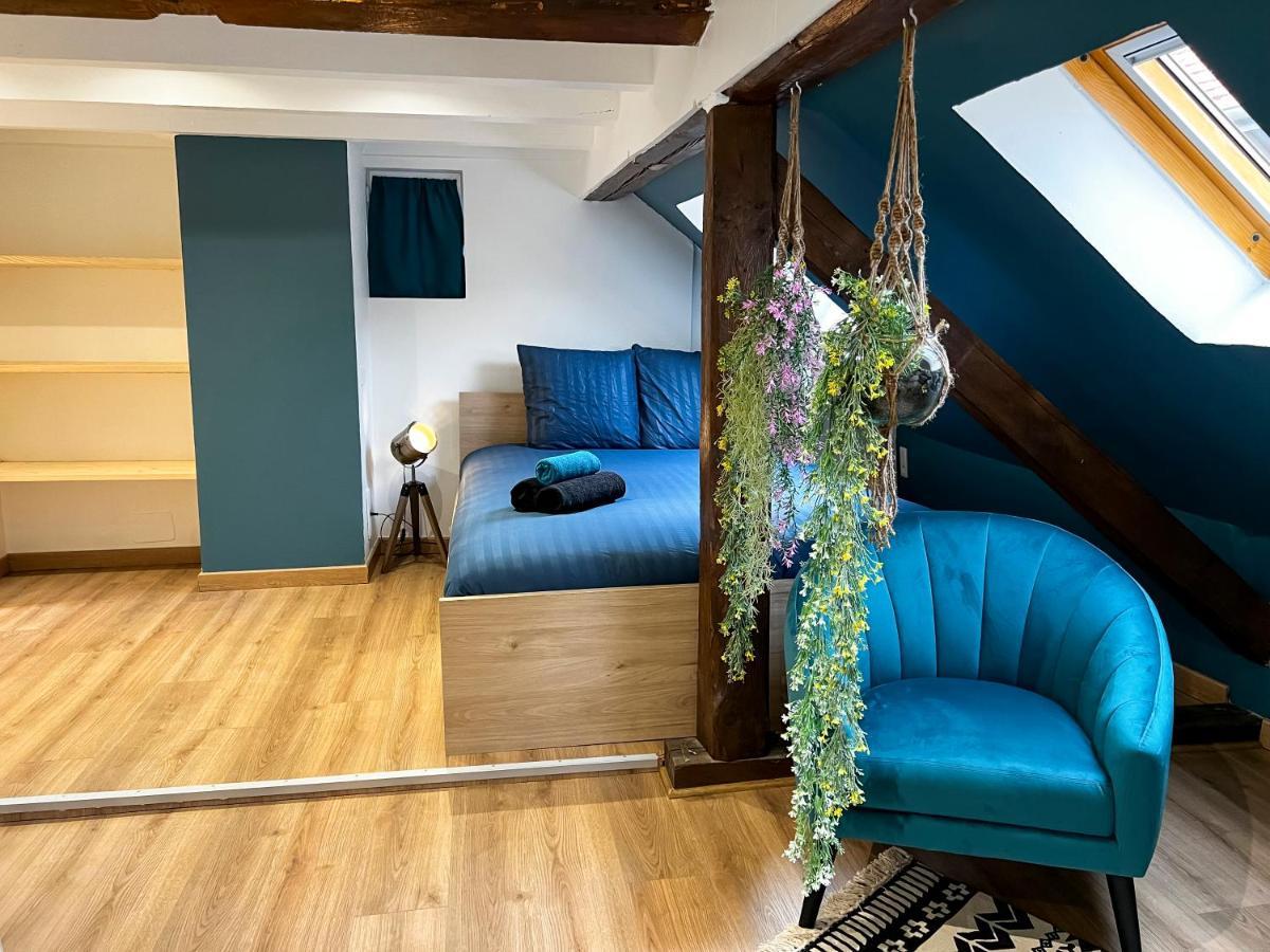Au Duplex De Jeannala Daire Sélestat Dış mekan fotoğraf